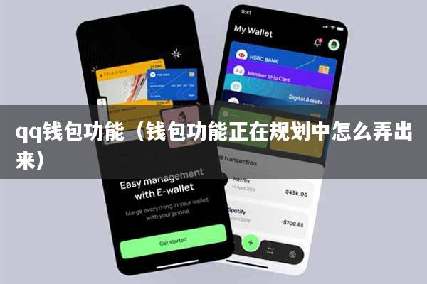 qq钱包功能(钱包功能正在规划中怎么弄出来)